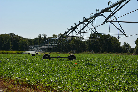 As Texas farmers have increased corn and soy production to reach goals set by the Renewable Fuel Standard, water supplies have been strained. (U Delaware/Flickr)