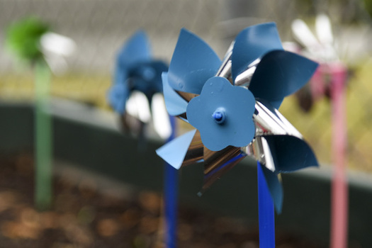 Blue pinwheels are the symbol for child-abuse prevention. (Airman Shawna Keyes/Wikimedia Commons)