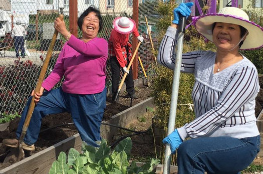 The Florence Fang Asian Community Garden in San Francisco won an AARP Community Challenge grant in 2018. (Johnny Chen)