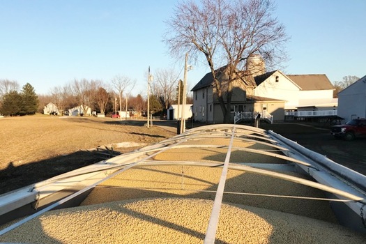 A trailer packed with soybeans at Windy Way Farm in Massillon, Ohio. (Nathan Reineck)