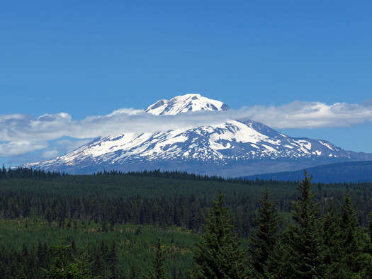 A southern Washington community is managing nearby forestland. (Jeff Hollett/Flickr)