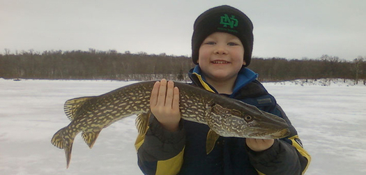 Overall, larger and longer-lived fish including northern pike build up the most mercury because they eat many smaller fish that contain mercury. (fws.gov)
