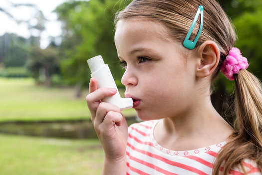 The Environmental Protection Agency wants to undo rules that govern mercury and other toxic emissions, even while its own research shows the standards prevent 130,000 asthma attacks each year. (keckmedicine.org)