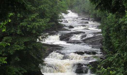 If proposed changes to the Clean Water Act are adopted, many streams and wetlands would no longer be protected. (Dougtone/Flickr)