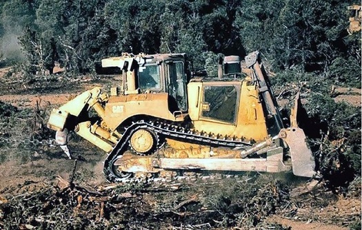 BLM bulldozers, using tools such as bullhog masticators and anchor chains, annually strip thousands of acres of native vegetation from public lands in the West. (WildUtahProject)