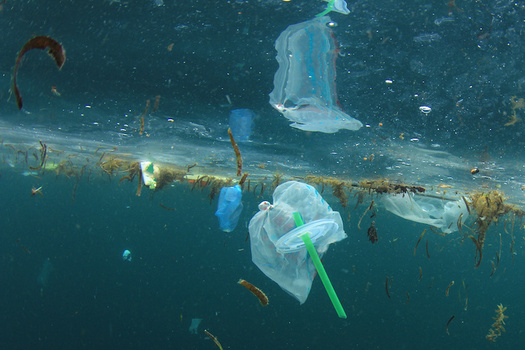 By 2050, experts estimate, there will be more plastic by weight in the oceans than fish. (Richard Carey/Adobe Stock)
