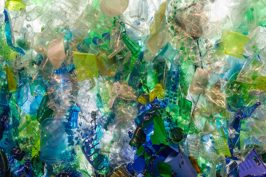 According to some estimates, oceans could contain more plastics than fish by 2050. (Jill Clardy/Adobe Stock)