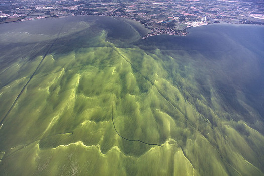 Incentive programs could boost the use of agricultural practices that reduce the nutrient runoff linked to algal blooms. (Zachary Haslick, Aerial Associates Photography Inc./Flickr)