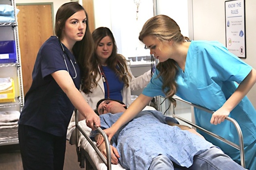More than half of Illinois' 182,000 registered nurses work in hospital or acute-care settings. (James/Adobe Stock)