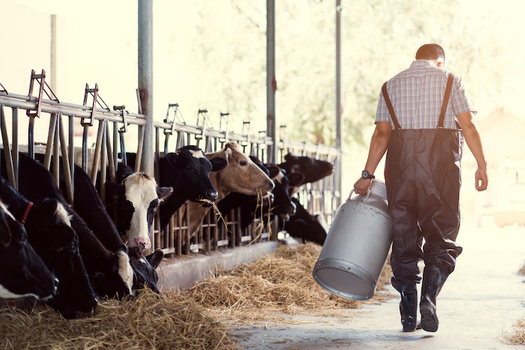 According to the Kentucky Farm Bureau, family farms produce most of the state's agriculture. (Adobe Stock)    