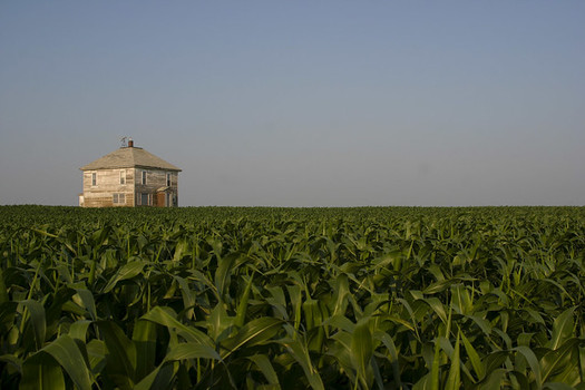 Minnesota farmers are concerned about the impact the NAFTA replacement deal could have on them. (Brian Jeffery Beggerly/Flickr)