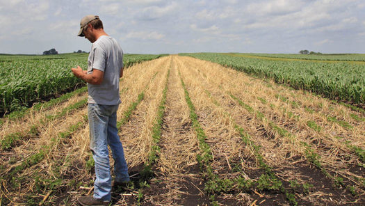 In the past few years, Western Iowa has had above-average growth of cover crop acreage compared to the rest of the state. (3360yale.edu)  