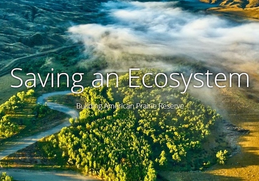 The American Prairie Reserve is looking to connect and protect more than 3 million acres of Montana prairie land. (American Prairie Reserve)