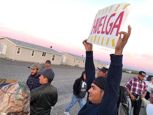 A farmworker holds up a sign that says 