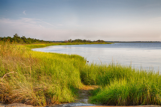 In 2017, scientists discovered GenX, a toxic and carcinogenic compound, in the Cape Fear River. (Adobe Stock)