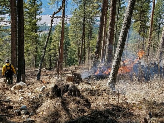 A fire researcher says her research shows more federal dollars should go toward prescribed burns as a means of preventing wildfires.  (U.S. Forest Service/Flickr)