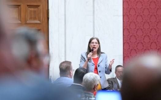 Critics of state-level opportunity zone business tax cuts, such as Del. Barbara Fleischauer, D-Morgantown, argue the tax breaks include huge corporate-tax loopholes. (WV Legislative Photography/Perry Bennett)