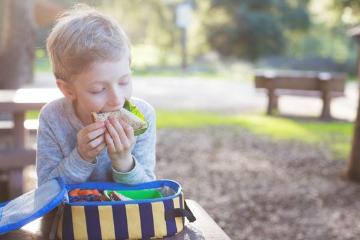 Families spend about $300 more each month on meals during the summer, compared with their food costs during the school year. (Aleksei Potov/Adobe Stock)