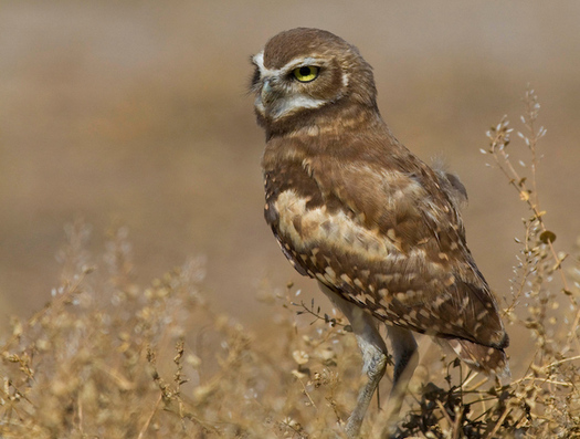 Tonight's episode of 