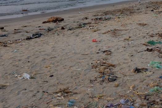 One study estimates that 100 million pieces of plastic, including single-use bags, pollute Lake Erie. (Indi Samarajiva/Flickr)