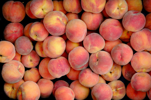 In 2018, more than 3 million pounds of fresh produce were distributed to Kentuckians in need through the Farms to Food Banks program. (Adobe Stock)