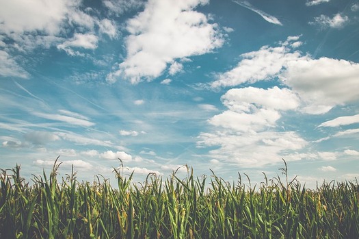 A new project will use NASA datasets to find and address inefficiencies in farm-management practices. (Snapshot Factory/Pixabay)