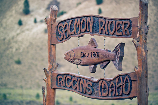 Idaho communities rely on the return of salmon and steelhead each year. (Nan Palmero/Flickr)