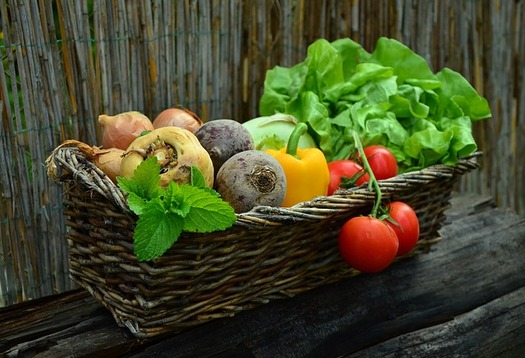 A well-maintained food garden yields a half-pound of produce per square foot per growing season, according to the National Gardening Association. (Pixabay)
