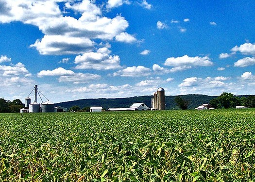 Ohio now is home to 77,000 farms, the highest number since 1997. (Don O'Brien/Flickr)