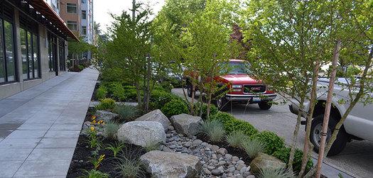 Nearly three-quarters of western Washington municipalities are making progress toward controlling polluting stormwater runoff. (Seattle.gov)