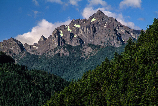 A bill in Congress would protect more than 126,000 acres of Olympic National Forest as wilderness. (U.S. Forest Service/Flickr)
