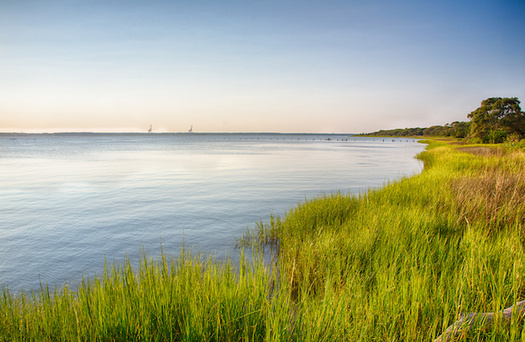 For decades, toxic chemicals known as PFAS seeped into the Cape Fear River in North Carolina, contaminating residents' drinking water supply. (Adobe Stock)