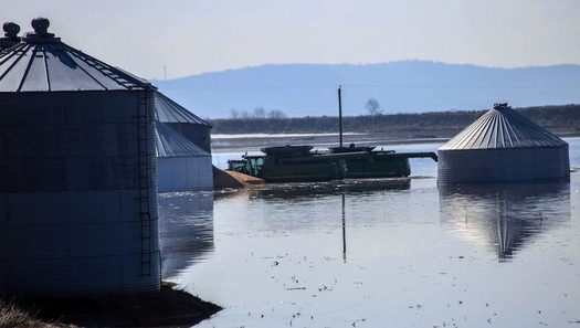 Iowa farmers are coping with low commodity prices and devastating floods, creating concerns about their mental health and well-being due to stress. (Julius Schaaf/grains.org) 