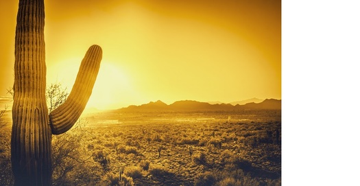 The numbers of heat-related deaths have grown in Arizona in tandem with more summer temperature extremes in the past decade. (Adobe Stock)