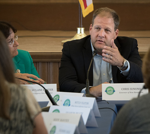 Gov. Chris Sununu on Friday vetoed three bills: HB 109 which would have closed background-check loopholes; HB 514, which would have created a waiting period between the purchase and delivery of a firearm; and HB 564, which would ban guns in schools. (Lance Cheung/Flickr)