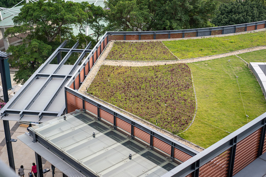 Green roofs lower heating and cooling costs by increasing a building's energy efficiency. (victor217/Adobe Stock)