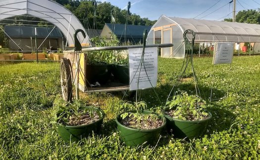 A farm in Berea has partnered with a local substance-abuse treatment center to help women in recovery with job training. (Facebook/Sustainable Berea)