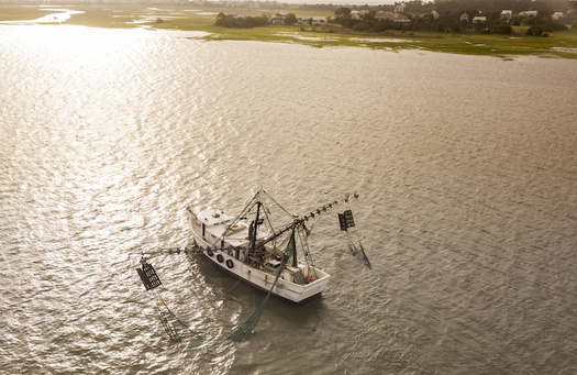 A new proposal aims to make North Carolina's shrimp-trawling industry more sustainable by lessening the amount of fish that are caught in shrimp nets as bycatch. 