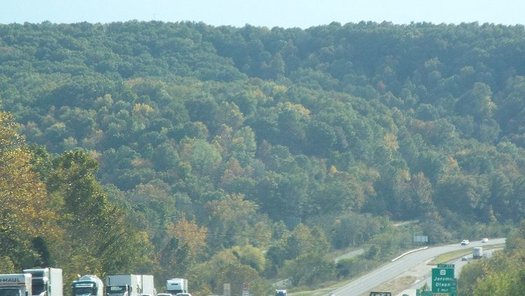 A proposed change to federal environmental policy could fast-track logging on public lands in areas such as the Mark Twain National Forest. (Lance Lowry/Panoramio/Wikimedia Commons)
