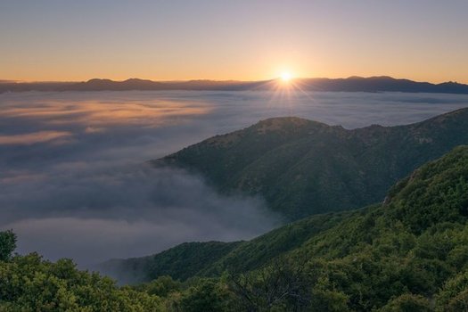 A proposed change to federal environmental policy could fast-track logging on public lands in areas such as the Los Padres National Forest. (Mason Cummings/The Wilderness Society)