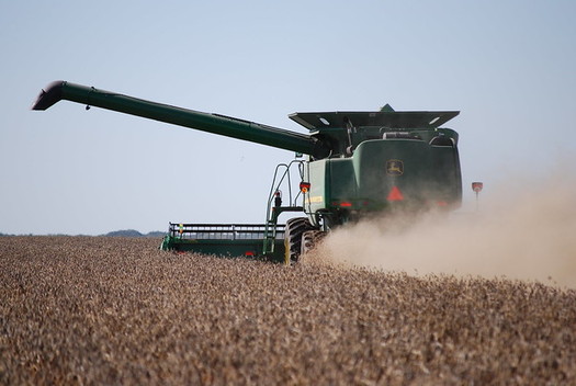 China has promised to raise soybean tariffs by 5% in September. (United Soybean Board/Flickr)