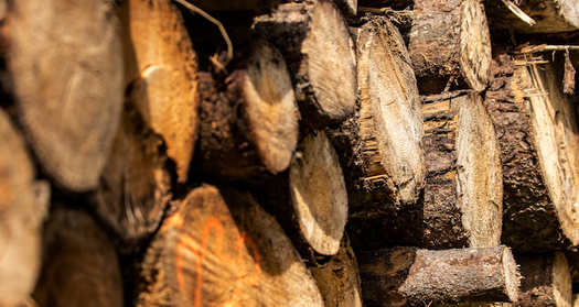 The National Wildlife Federation and Sustainable Furnishings Council's 