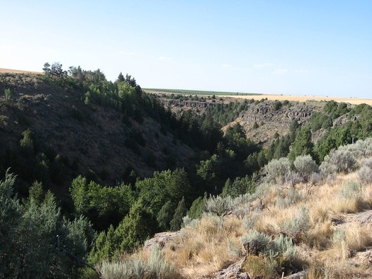 The area where Rexburg is located is classified as desert because of its scant rainfall. (Ken Lund/Flickr)