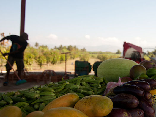 Food Pantries Racing To Meet Grant Deadline Public News Service