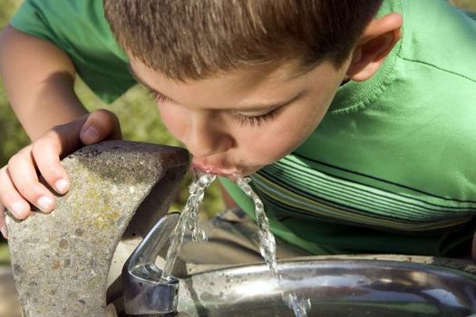 Almost half the water taps tested in Arizona schools were found to have unsafe levels of lead. (Phase4Photography/AdobeStock)