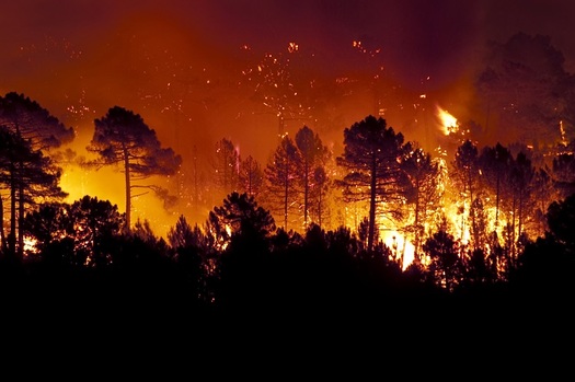 Climatologists say raging wildfires in the Amazon rainforest and in other parts of the world are attributable to global warming. (IAH/AdobeStock)