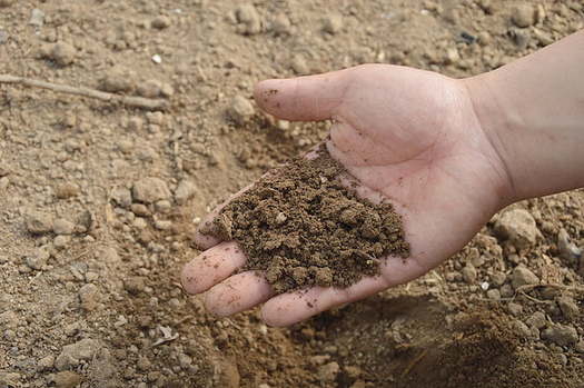 Scientists warn that a warming planet will lead to less productive soil, restricting what can be grown and reducing the soil's ability to absorb carbon. (Nicepik)