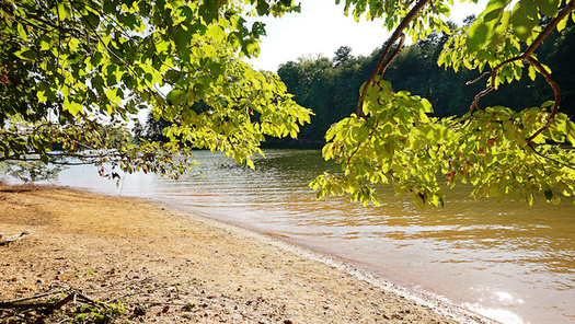 A coal-ash site and a coal-fired power plant both sit on Lake Norman. (Adobe Stock)
