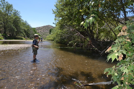 Since 1924, a federal wilderness designation has prohibited motorized vehicles, buildings, logging or mining in New Mexico's Gila Wilderness. (nmwildlife.org)