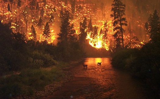Signs suggesting a changing climate in Colorado include over 475,000 acres consumed by wildfires in 2018. The U.S. Drought Monitor recently reported that 70% of the state is considered abnormally dry. (BLM/Wikimedia Commons)